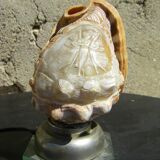 Shell lamp.
