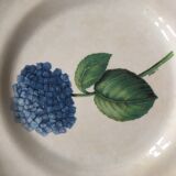 Lot of 6 plates décor hydrangea