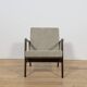 Fauteuils modèle 300-139 de l'usine Swarzędz, Pologne, années 1960, lot de 2