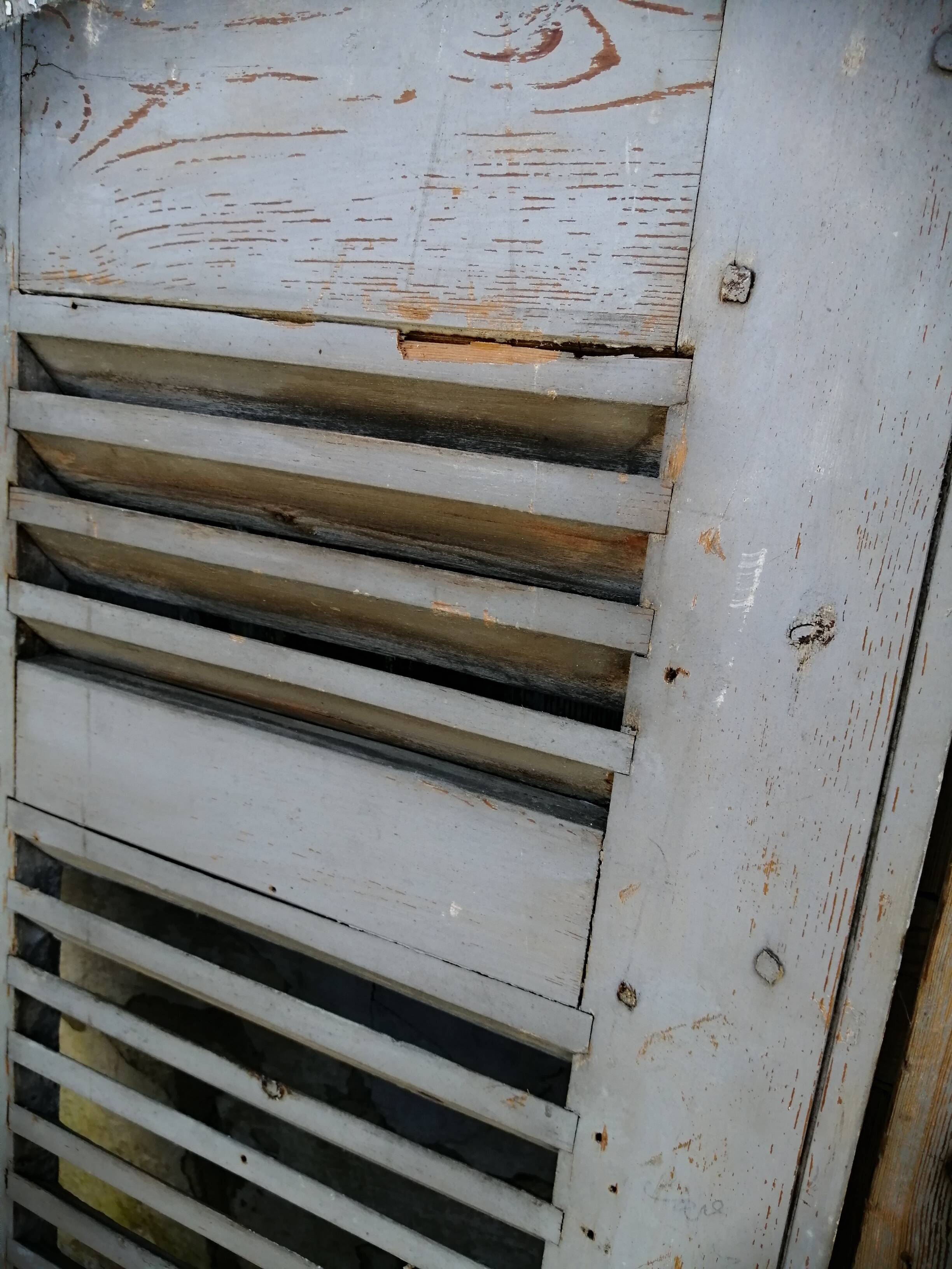 Pair of old 19th century louvered shutters