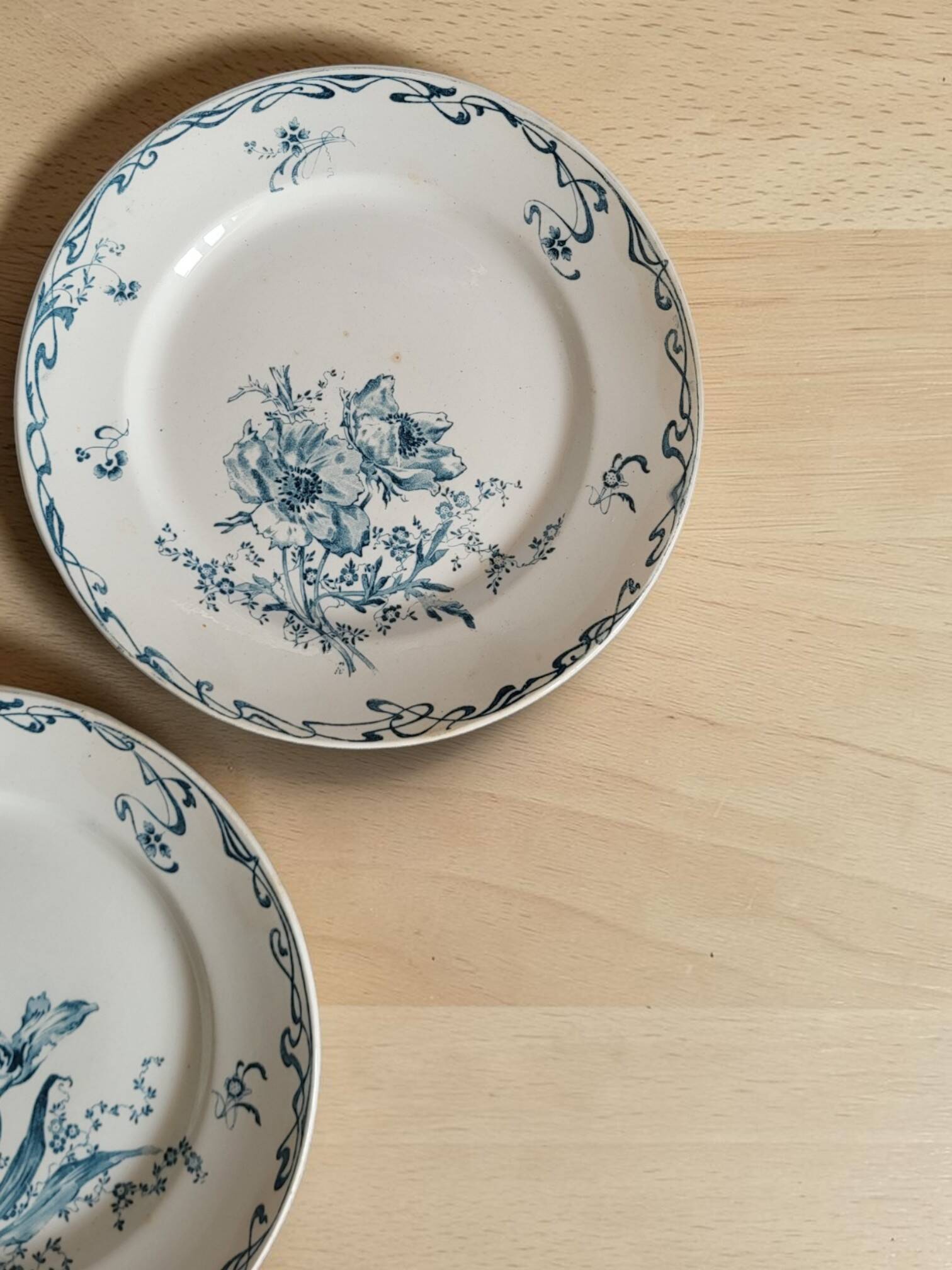5 earthenware plates from Creil and Montereau "Crémone", ironstone Art Nouveau