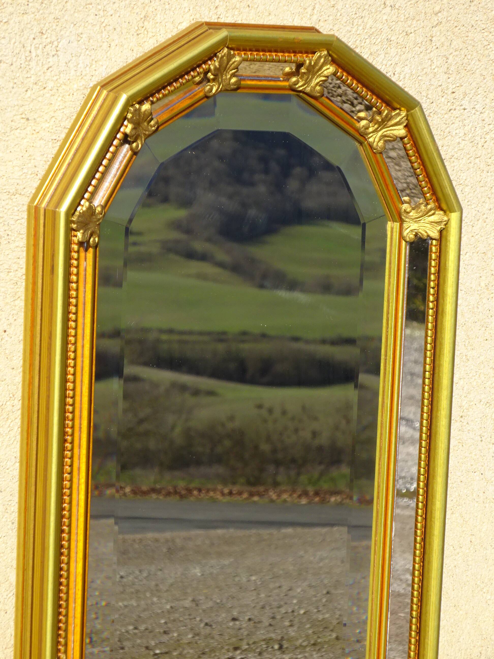 Miroir à parecloses, fleurs de lys, 99cmx30cm