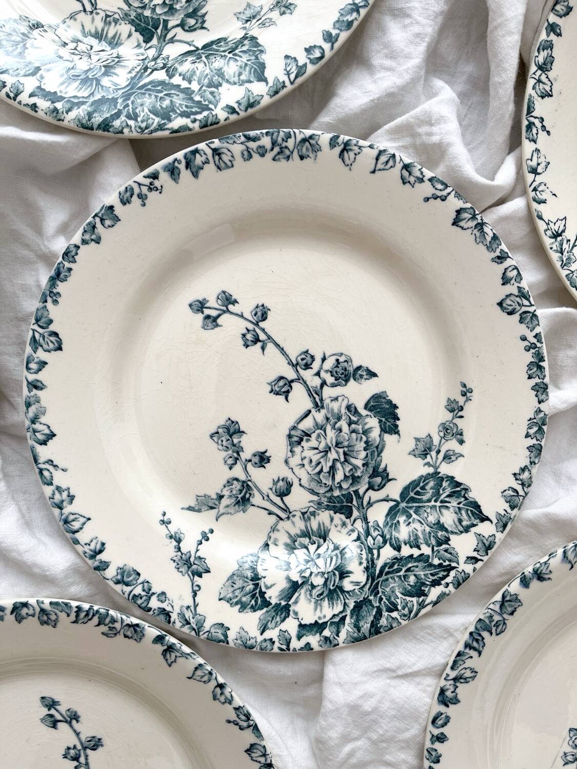 6 flat ironstone plates “Hollyhock” Gien