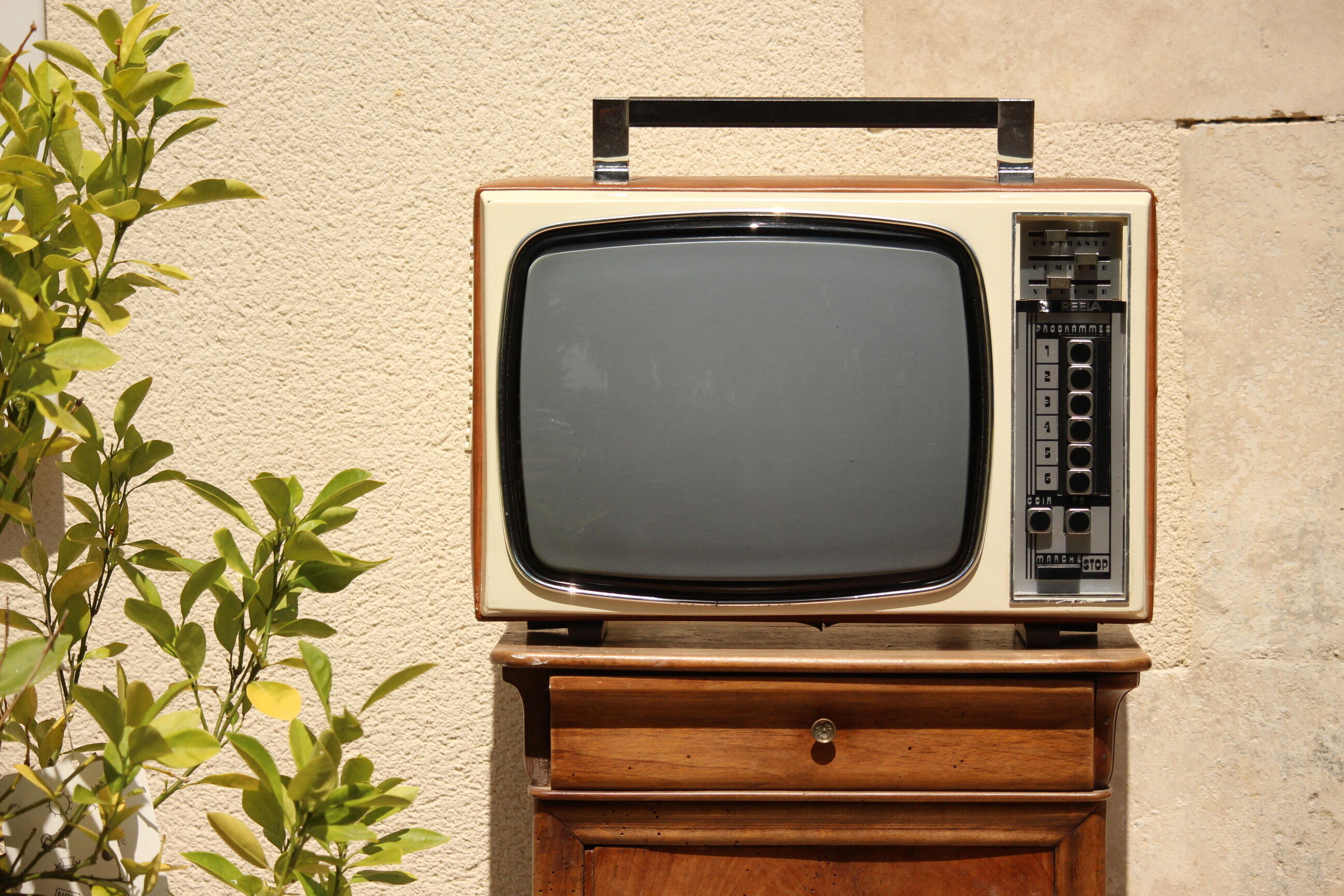Téléviseur vintage Reela
