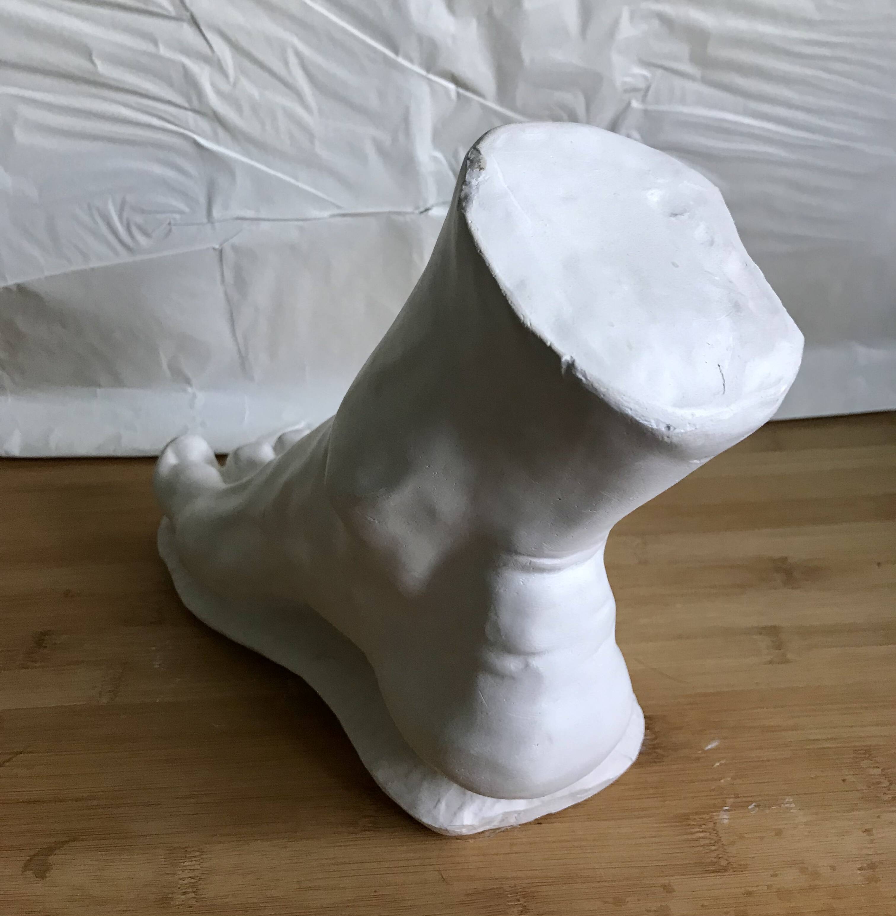 ITALIAN PLASTER FOOT CAST