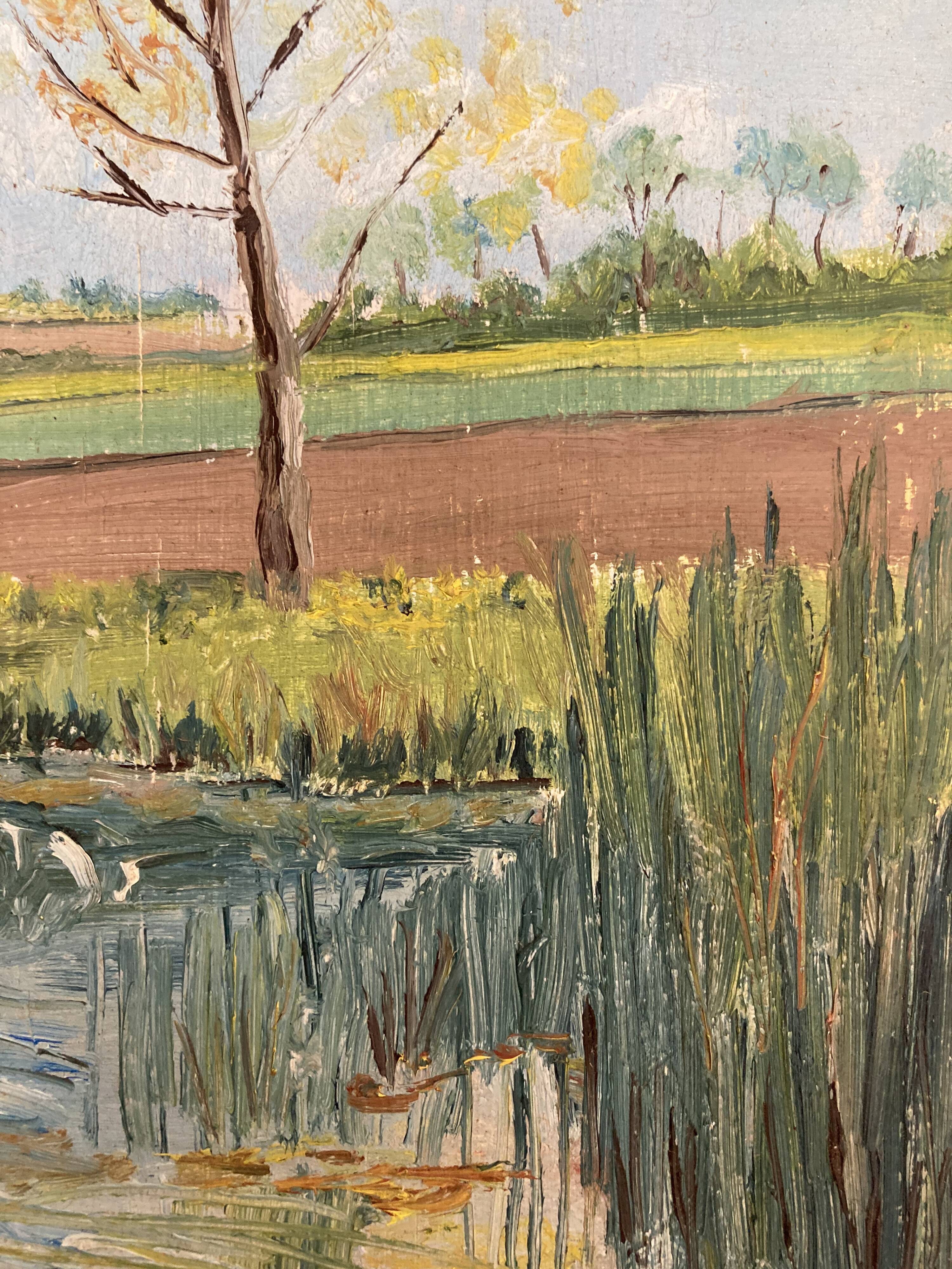 Vintage poplar paint