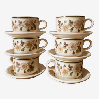 6 English tea cups or chocolate