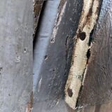 Still life oil on canvas 1900