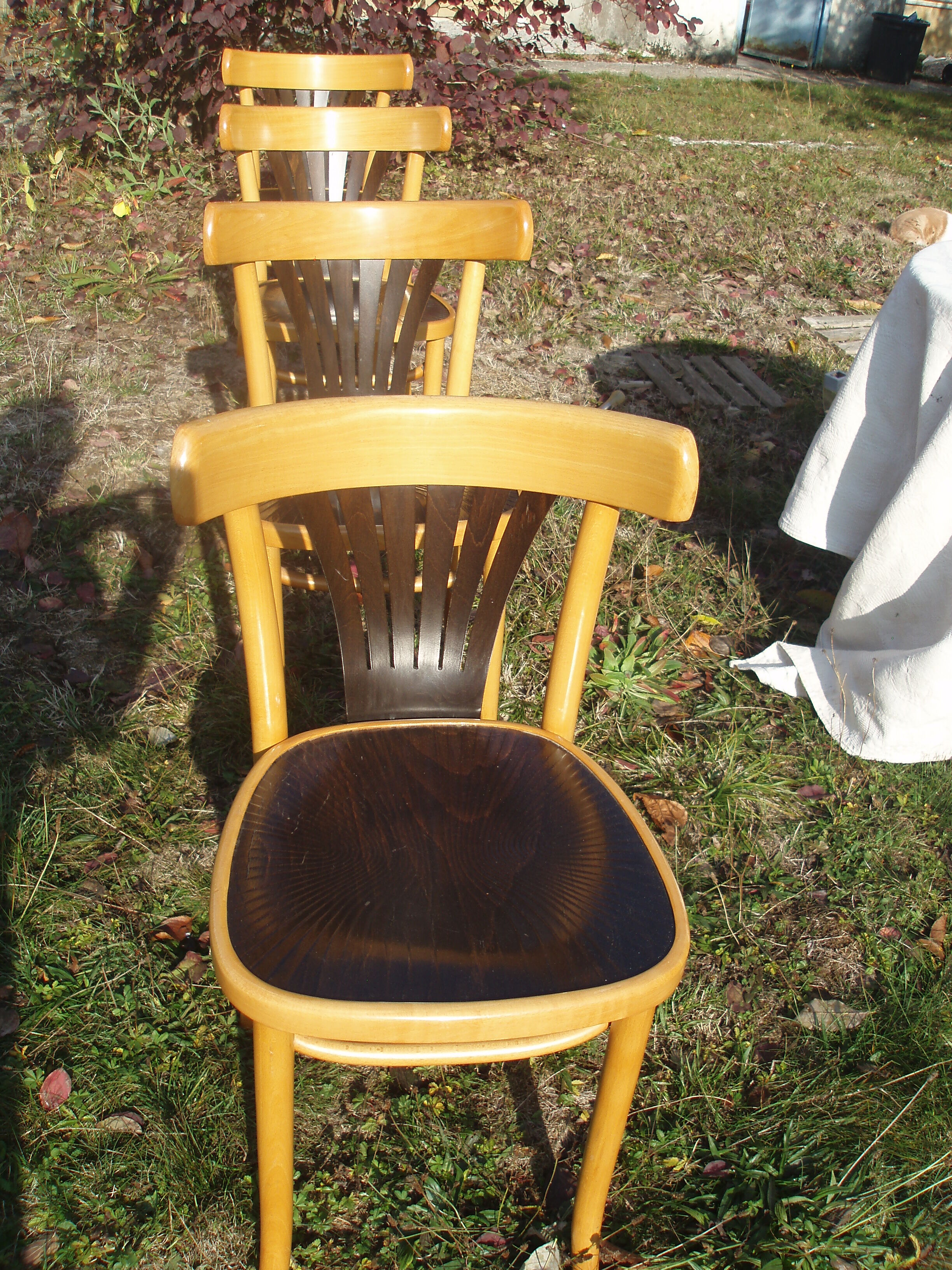 Set of 4 chairs wooden coffee multicore gold and black