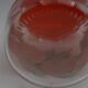 Vintage oranges glass decanter