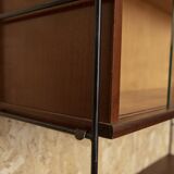Nils Strinning mature display case
