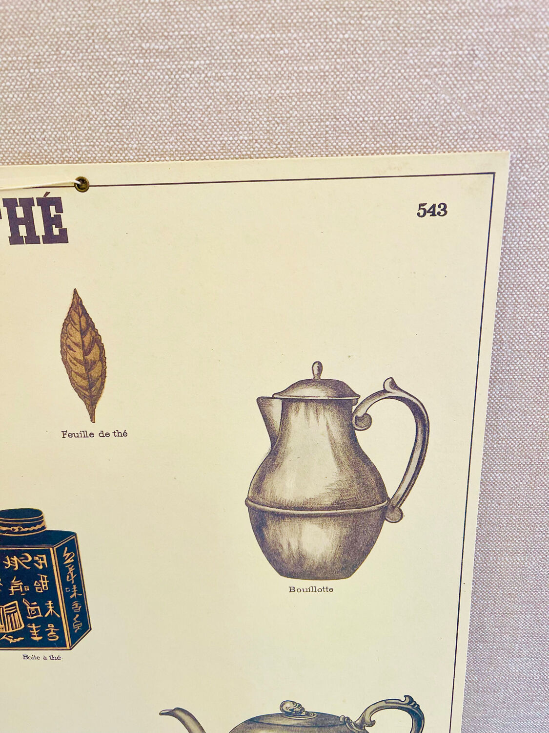 Vintage school poster tea – Émile Deyrolle Paris 1970s