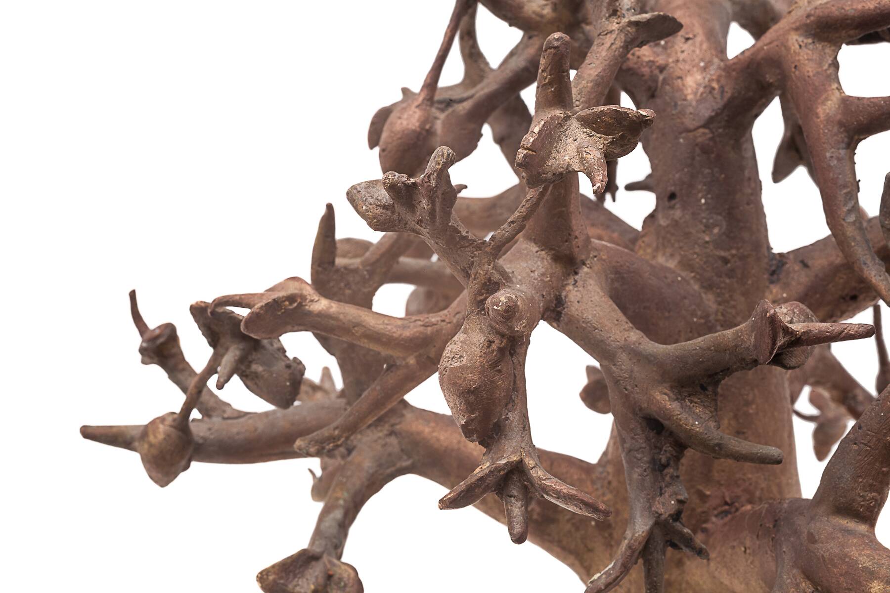 Bronze baobab