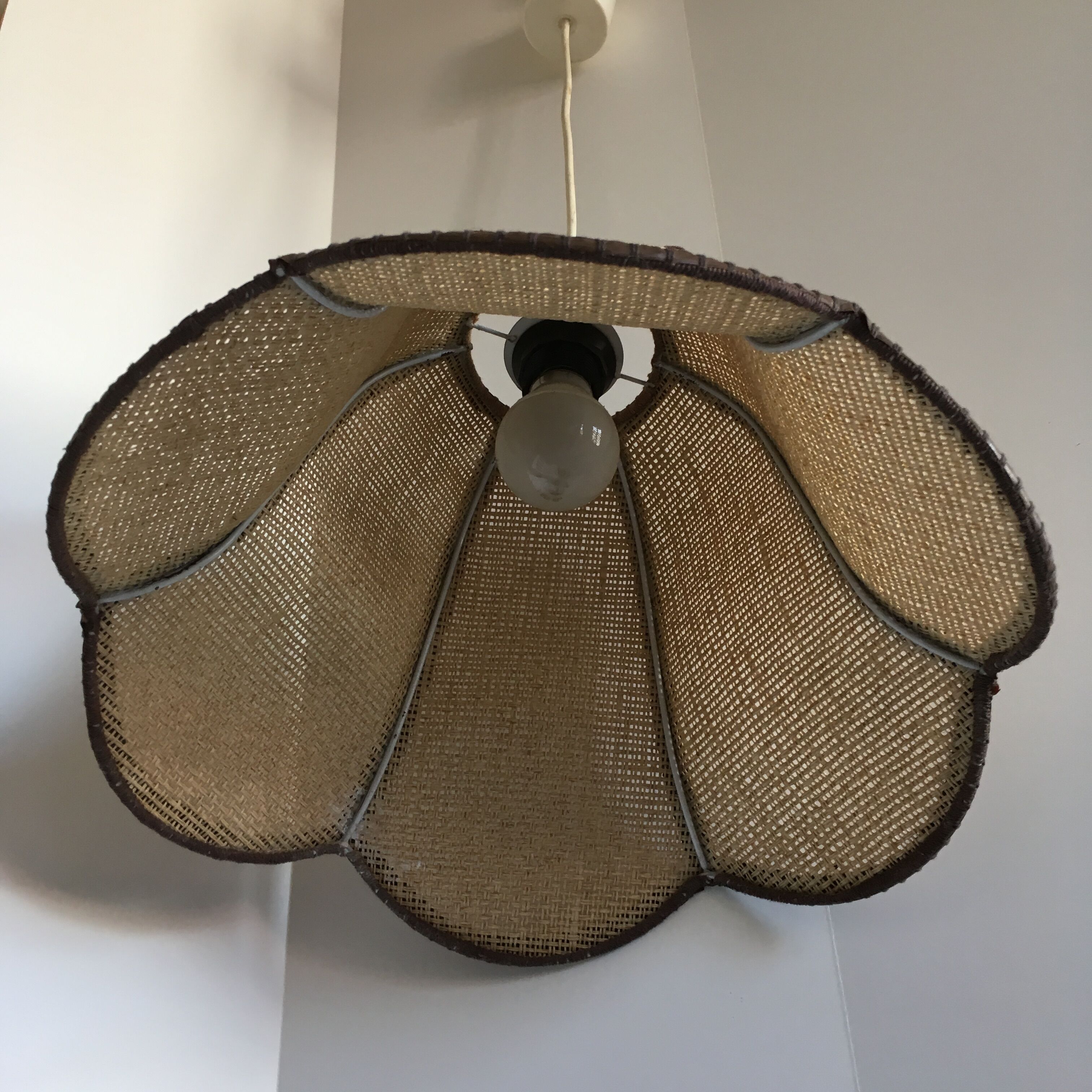 Hanging in wicker and rope-shaped petals