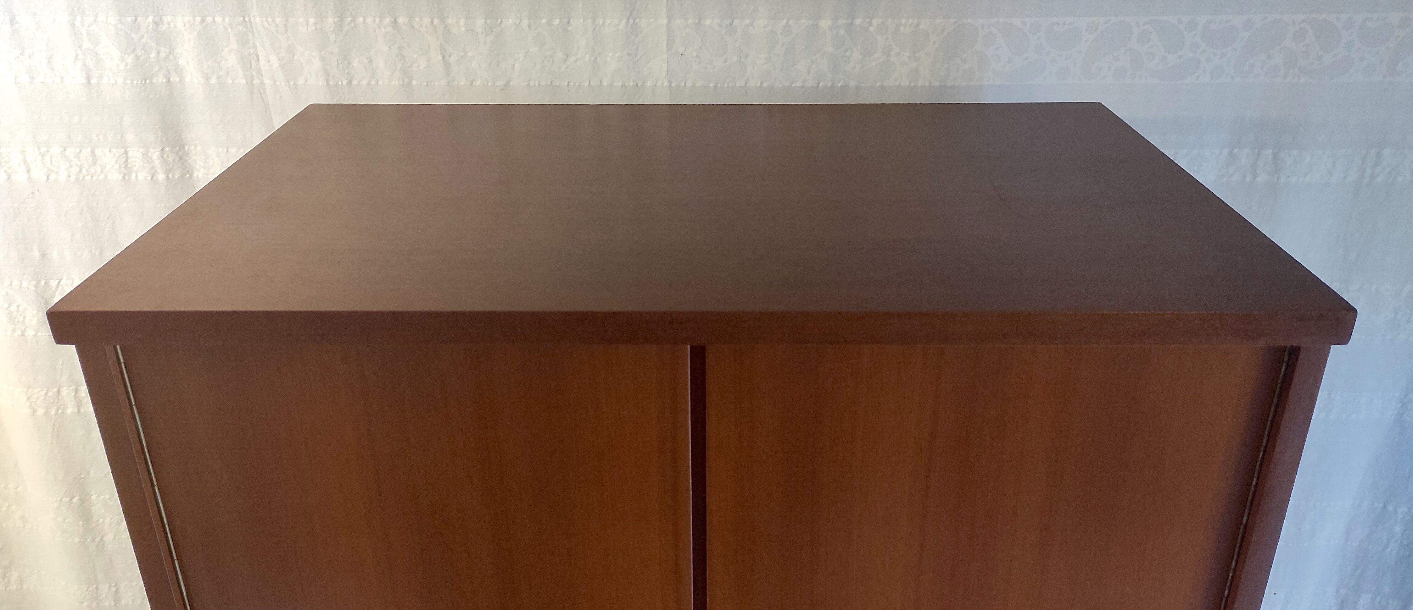 Modernist teak cabinet – 60s