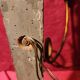 Large antique double wall light in gilded and black wood from the attic