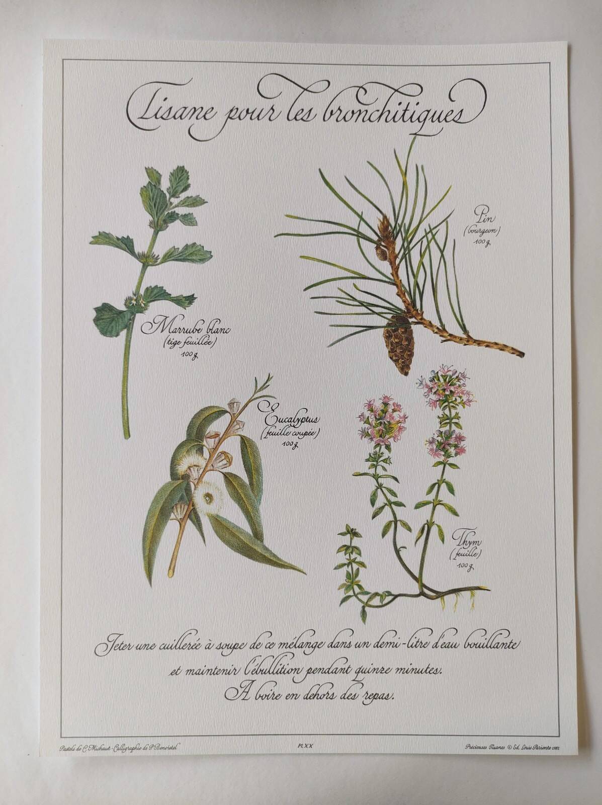 Botanical printing -Catarrh herbal tea- Engraving of medicinal plants and herbs