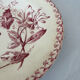 Hollow plate red ironstone honeysuckle pattern from Gien pottery