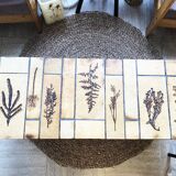 Capron coffee table mod. “Herbarium”, 1970