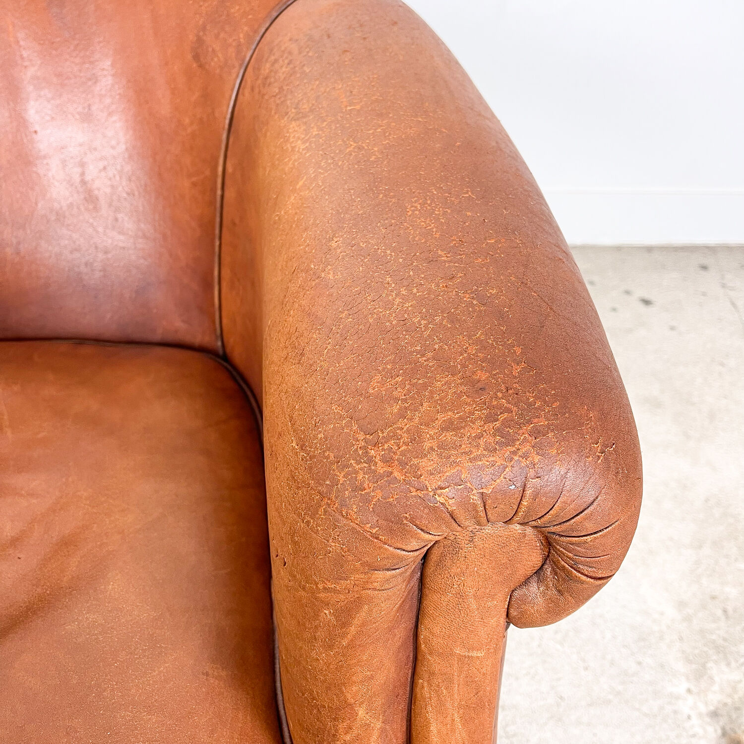 Vintage sheep leather club chair tub notter