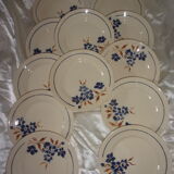 Set of 12 plates Badonviller motif Tunis