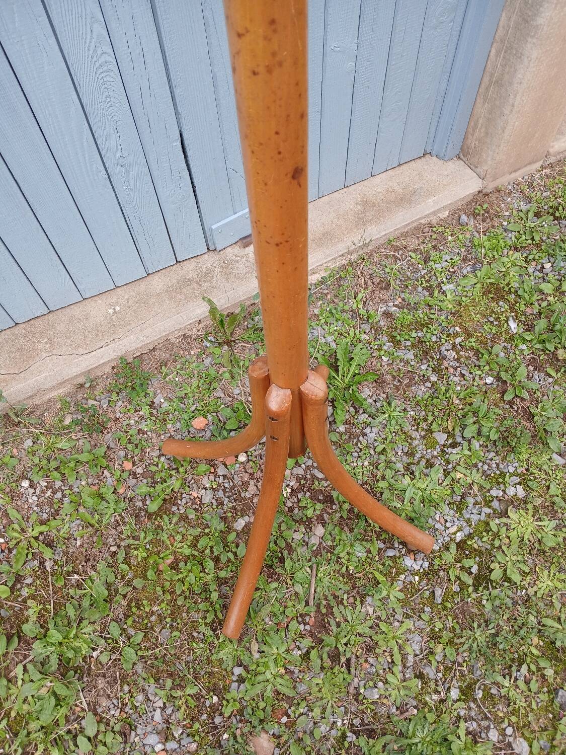 Antique parrot coat rack