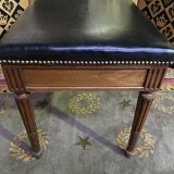 Bookstep ladder and Louis XVI bench