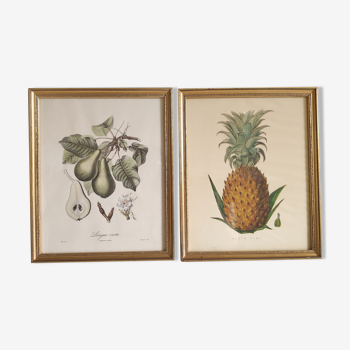 Cadres lithographies fruits cadre doré