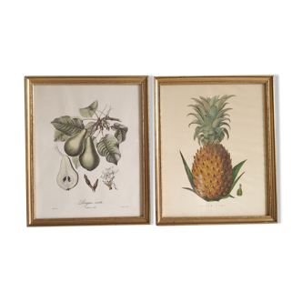 Lithographs fruit golden frame