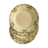 Lot de 5 assiettes plates
