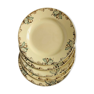 Set of 5 flat plates