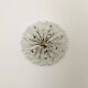 XXL Austrian Dandelion Wall or Ceiling Lamp by Emil Stejnar for Rupert Niko