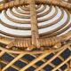 Rattan chair