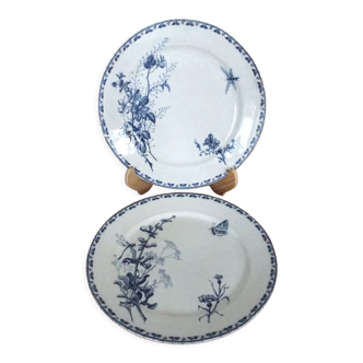 2 assiettes plates terre de fer