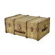 Travel trunk 30s