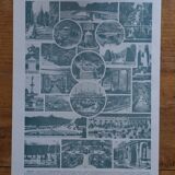 Original lithographs on gardens and ornamental trees