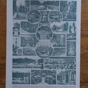 Original lithographs on gardens and ornamental trees