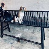 Giant Bench