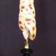 Cabinet of Curiosities: Oxymeris areolata seashell on a pedestal