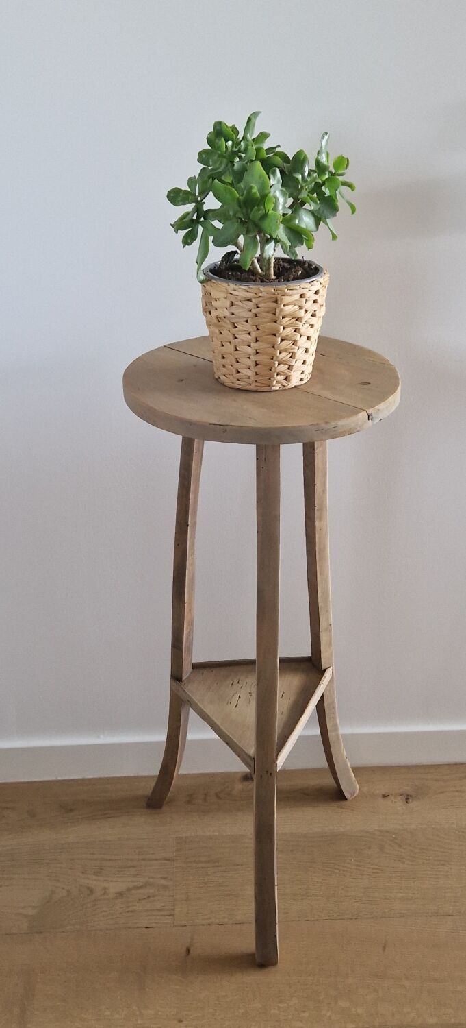 Old pedestal table driftwood