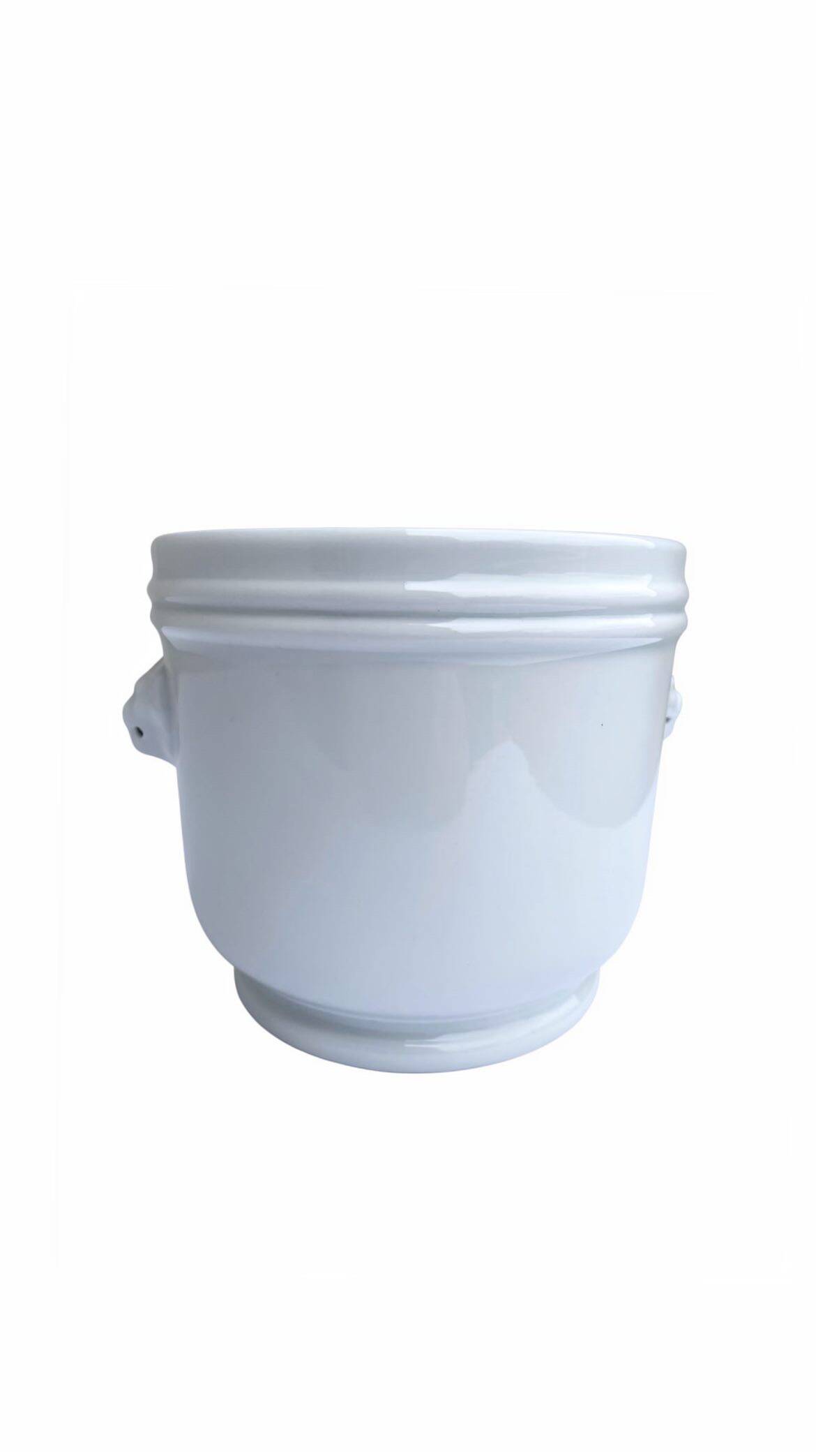 Lion head cache-pot