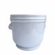 Lion head cache-pot
