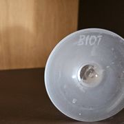 Biot glass soliflore vase