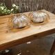 Duo of glass sconces