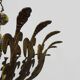Half-basket chandelier with 5 lights in bronze and Spanish ceramic. 1960s