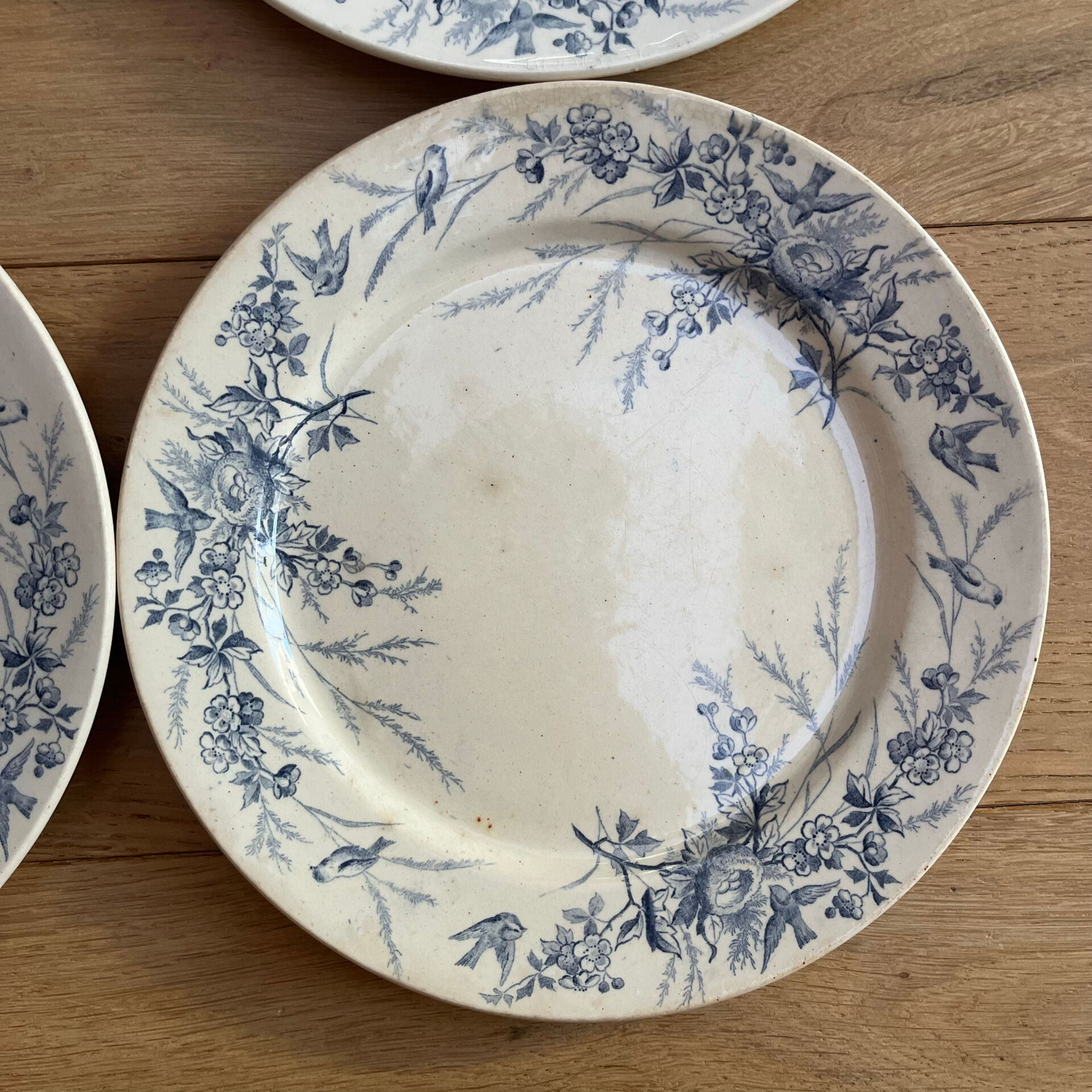 10 plates Terre de Fer Linotte