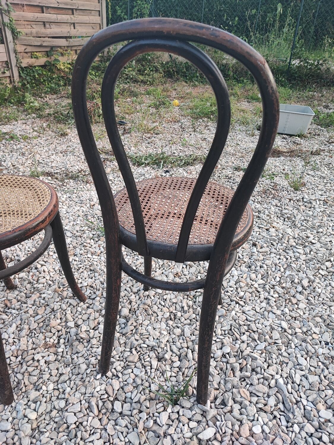Duo de chaises cannées, Thonet Austria