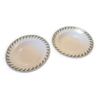 Set of 2 deep plates Terre de fer Choisy le Roi model 1212