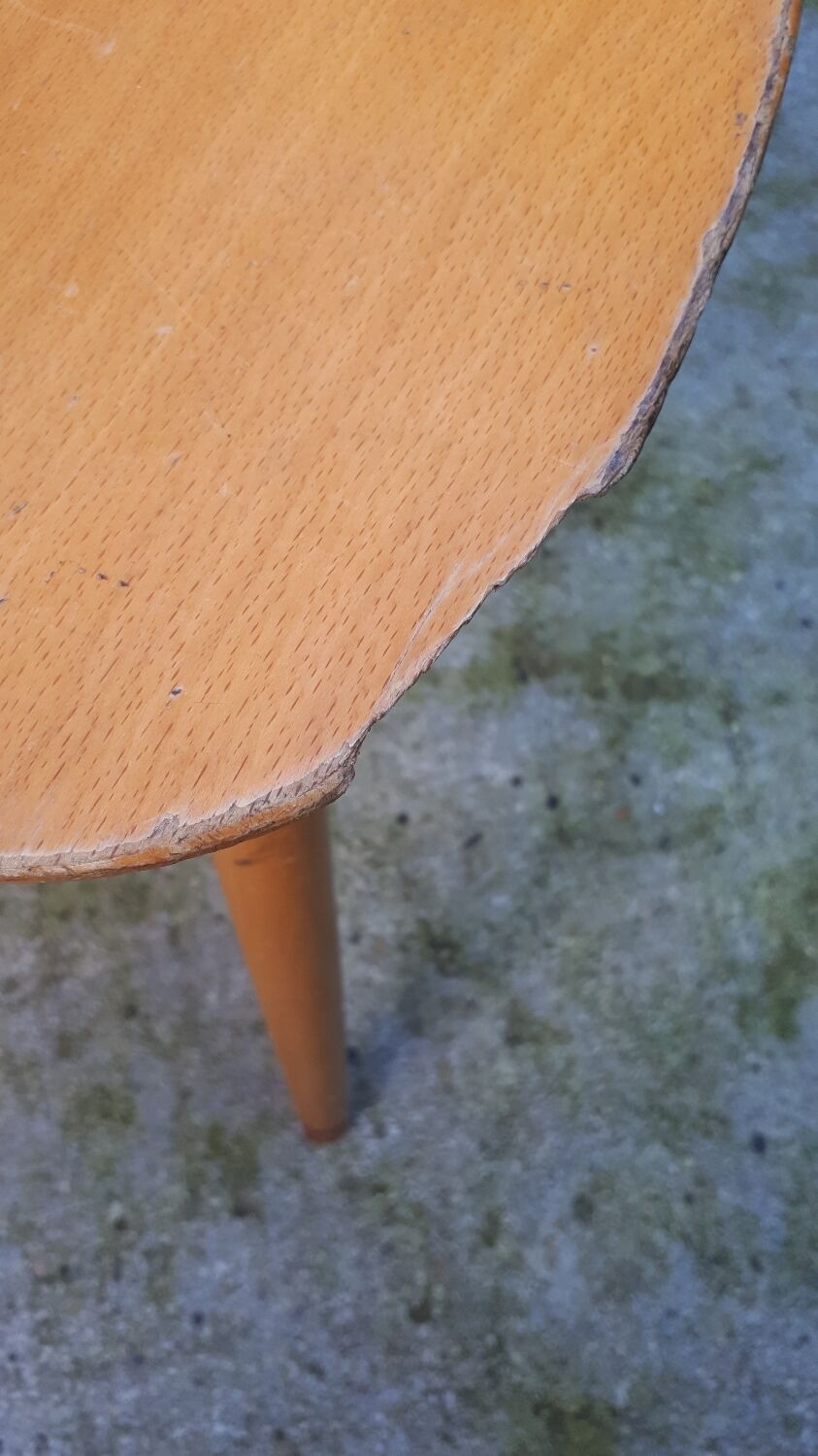 Pair of Ant chairs by Baumann