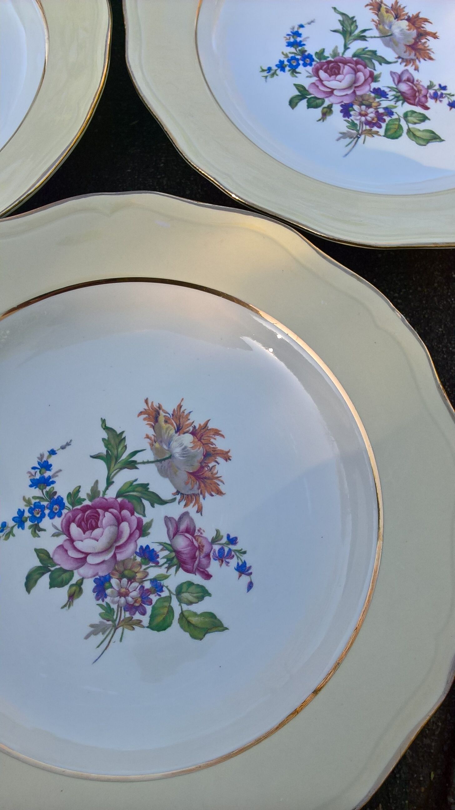 8 hollow plates L'Amandinoise